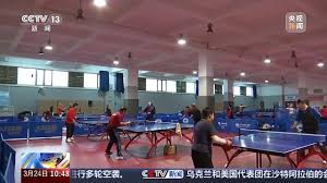 bsports必一网页版 什么是家用乒乓球台